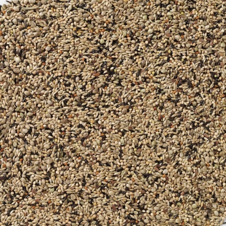 Deli Nature Premium Eupheme 20kg (70) 4 Deli Nature Premium Eupheme 20kg (70) – Image 2