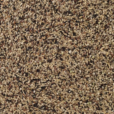 Deli Nature Oiseaux Indigènes 20kg (91) 3 Deli Nature Oiseaux Indigènes 20kg (91) – Image 2