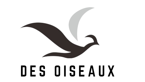 Magasin D'oiseaux