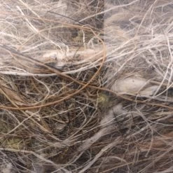 Magasin D'oiseaux 17 Magasin D'oiseaux -Magasin D'oiseaux animal vegetal mousse 500gr 1