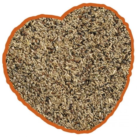 Canaris De Posture Duvo 20Kg 6 Canaris De Posture Duvo 20Kg – Image 4