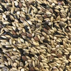 Magasin D'oiseaux 25 Magasin D'oiseaux -Magasin D'oiseaux canaris supreme animalis sans navette 20 kg 1