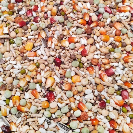 Élevage Pro Revolution 20kg - Numéro 58 - Vanrobaeys 3 Élevage Pro Revolution 20kg - Numéro 58 - Vanrobaeys