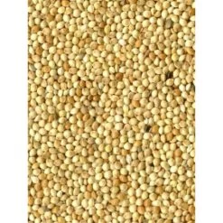 Millet Blanc 20kg