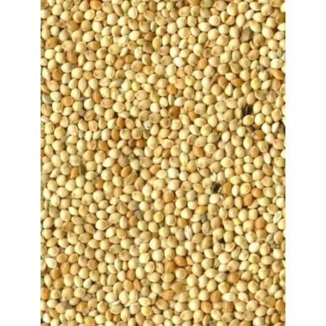 Millet Blanc 20kg 3 Millet Blanc 20kg