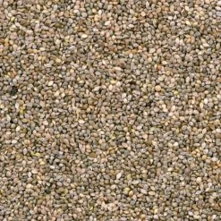 Millet Japonais 15kg