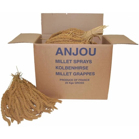 Millet Jaune En Grappe 16 Kg 3 Millet Jaune En Grappe 16 Kg