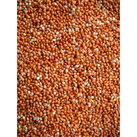 Millet Rouge 20kg 3 Millet Rouge 20kg