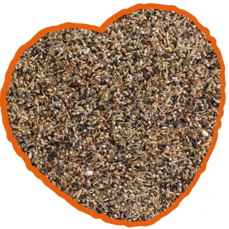 Duvo Tarins Et Chardonneret Spécial 15kg 4 Duvo Tarins Et Chardonneret Spécial 15kg – Image 2