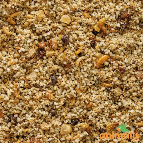 VERSELE-LAGA Uni Pâtée 5kg - Aliment Complet Pour Les Petits Frugivores Et Insectivores 4 VERSELE-LAGA Uni Pâtée 5kg - Aliment Complet Pour Les Petits Frugivores Et Insectivores – Image 2